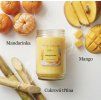 Vonná Svíčka Mainstays Mango Sorbet