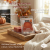 Wax Candle-Lite Pumpkin Nutmeg Pie