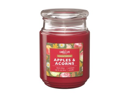 duftkerze apples acorns 510g