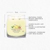 Yankee Candle Yankee Candle vonná svíčka Signature ve skle střední Iced Berry Lemonade 368g