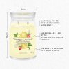 Yankee Candle Yankee Candle vonná svíčka Signature ve skle velká Iced Berry Lemonade 567g