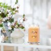 Yankee Candle Yankee Candle vonná svíčka Signature ve skle velká Mango Ice Cream 567g