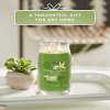 Yankee Candle Yankee Candle vonná svíčka Signature ve skle velká Vanilla Lime 567g