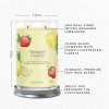 Yankee Candle Yankee Candle vonná svíčka Signature Tumbler ve skle velká Iced Berry Lemonade 567g