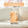 Yankee Candle Yankee Candle vonná svíčka Signature Tumbler ve skle velká Mango Ice Cream 567g
