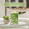 Yankee Candle Yankee Candle vonná svíčka Signature Tumbler ve skle velká Vanilla Lime 567g