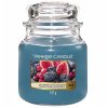 mulberry fig delight yankee candle medium jar p170550 32925 image