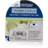 yankee-candle-vanilla-lime-22-g-1.jpg