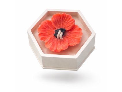 6E912994 FE01 4EE0 9EB7 8EBB43B21274