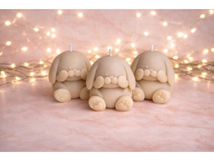 65DAF7F4 5BE1 4A33 A207 D342F09CF0F7