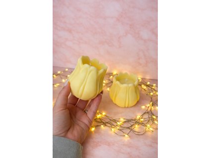 0DAE31CC CDE5 490A A925 2941AACA9FA9