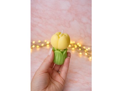 023E5398 9B3C 4EB3 83C4 526743770225