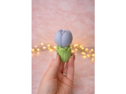 20D7052F C895 4CC1 98FD 0DAC14FC0906