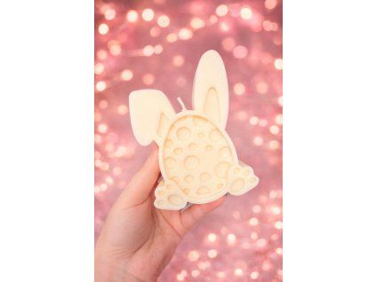 6E63D7E6 56BD 40D5 A735 5EFC1D52E4EE