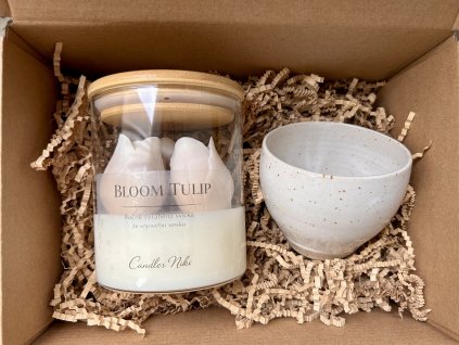 BLOOM TULIP + ŠÁLEK