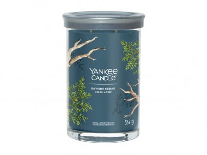 Yankee Candle Signature - vonná svíčka BAYSIDE CEDAR (Pobřežní cedr) 567 g