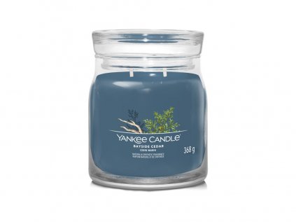 Yankee Candle - vonná svíčka BAYSIDE CEDAR (Pobřežní cedr) 368 g