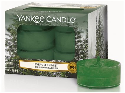 evergreen mist