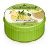 country candle daylight pineapplerita 2391 297 0042 1