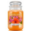 Country Candle - vonná svíčka SUNSHINE AND DAISIES (Slunce a sedmikrásky) 652 g