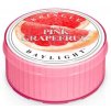 Kringle Candle - votivní svíčka PINK GRAPEFRUIT (Růžový grep) 42 g