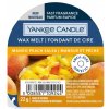 YC Mango peach salsa vosk