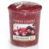 Cranberry Ice