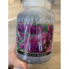 Cheerful Candle - vonná svíčka LILACS IN BLOOM (Kvetoucí šeřík) 680 g