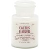 Cactus Flower