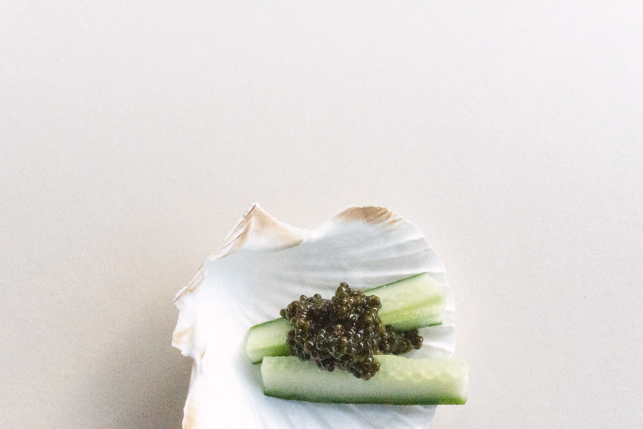 Cando Caviar právě vzniká.