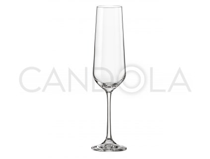 star-glas-ellite-sklenice-champagne-flute-180-ml-elchf180