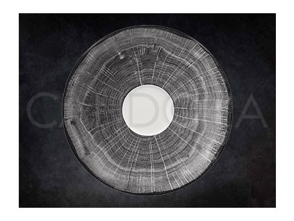 rak-podsalek-kolekce-fusion-produktova-rada-woodart-wdclsa13bg