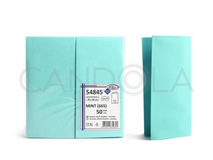 chic-airlaid-ubrousky-39-x-40-cm-bookfold-mint-50-ks-54845-665