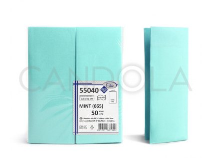 chic-airlaid-ubrousky-32-x-40-cm-bookfold-mint-50-ks-55040-665