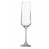 star-glas-ellite-sklenice-champagne-flute-180-ml-elchf180