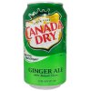 58026 canada dry ginger