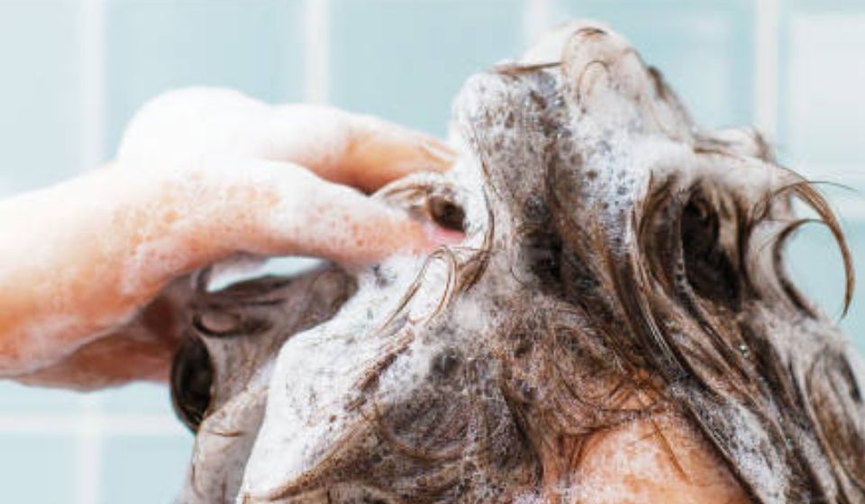 FAQ - ČASTO KLADENÉ OTÁZKY