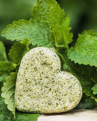 🌿 Mastné, zplihlé vlasy bez života? Pokožka hlavy si po každodenním stresu zaslouží pořádný restart! Naše tuhé šampuky s...