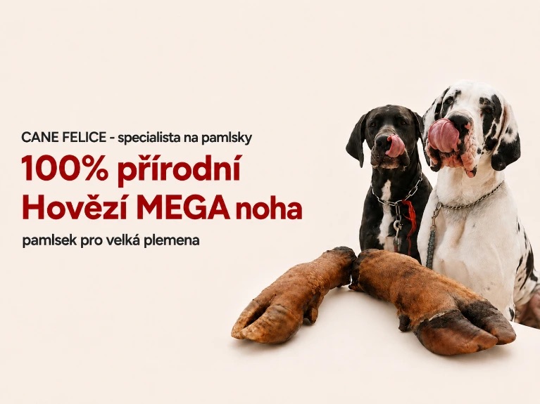 Hovězí mega noha