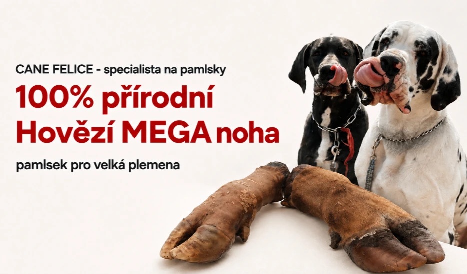 Hovězí mega noha
