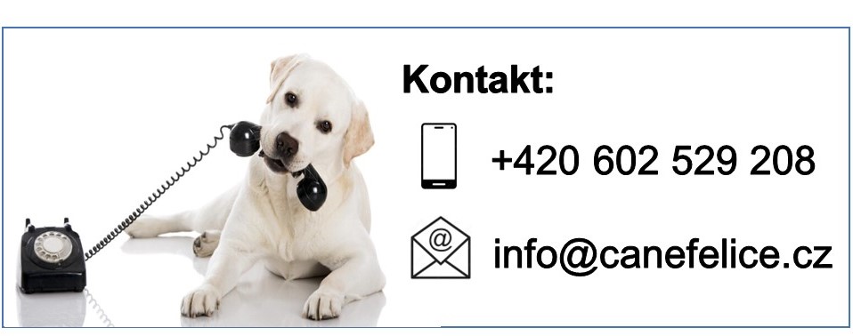 Kontakt
