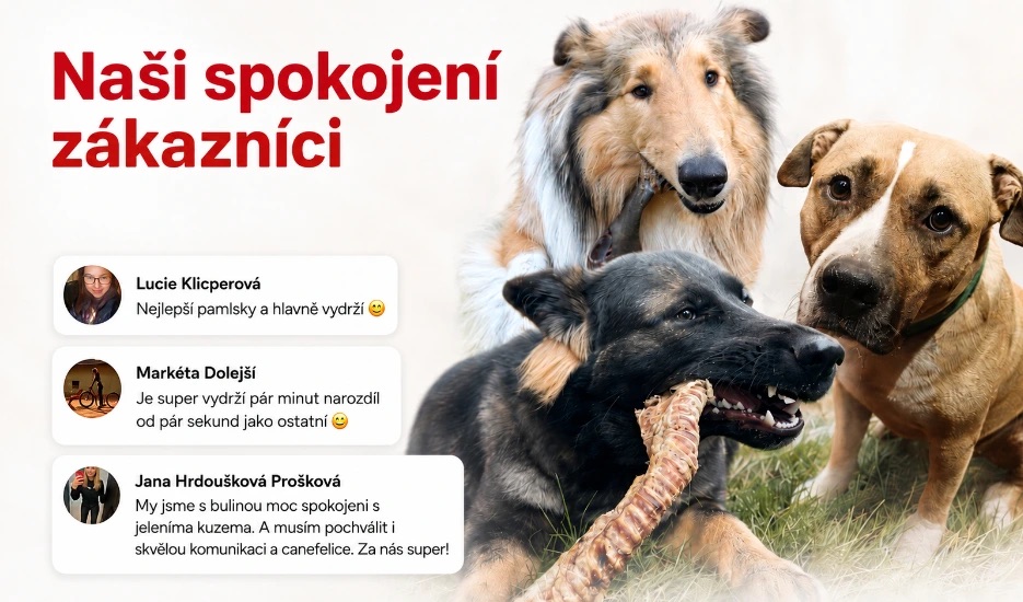 Spokojení zákazníci