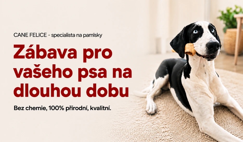 Zábava pro vašeho psa na dlouhou dobu