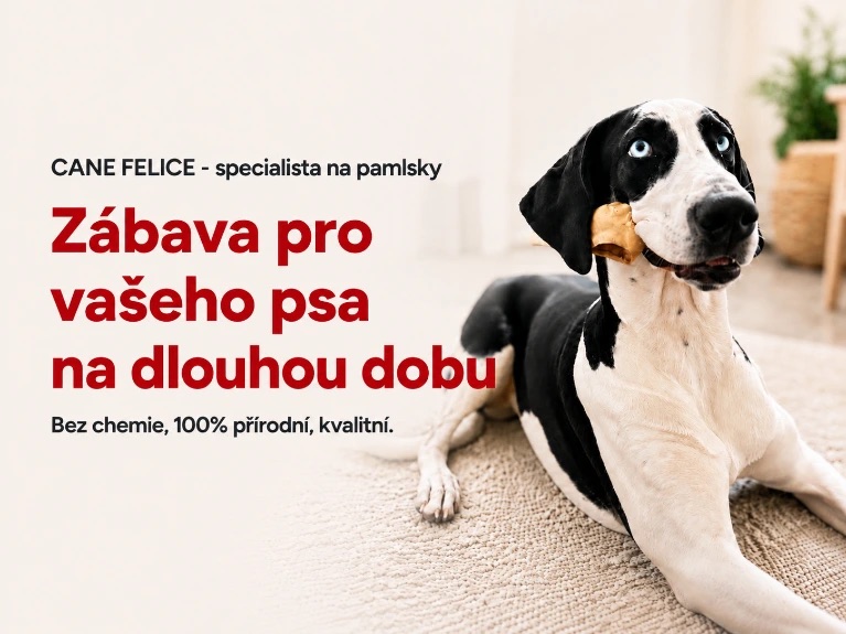 Zábava pro vašeho psa na dlouhou dobu