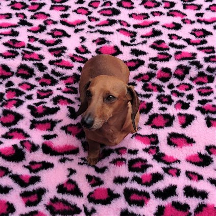Deka Drybed EXCLUSIV, SVĚTLE RŮŽOVÁ, černé a tmavě růžové obrazce
