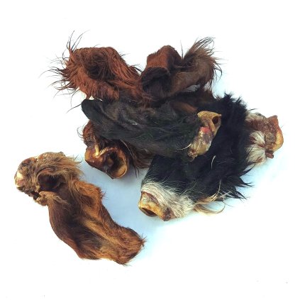 Telecí ucho SE SRSTÍ