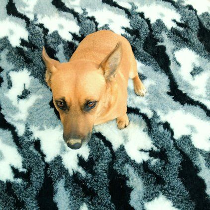 Deka Vetbed EXCLUSIV, Camouflage