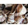 Hovězí trachea řezaná (průdušnice)