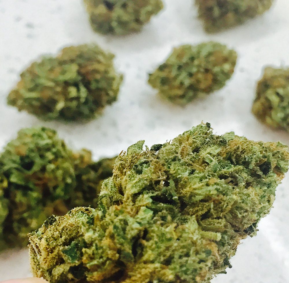 THC-X Květy