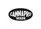 CannaPro Seeds